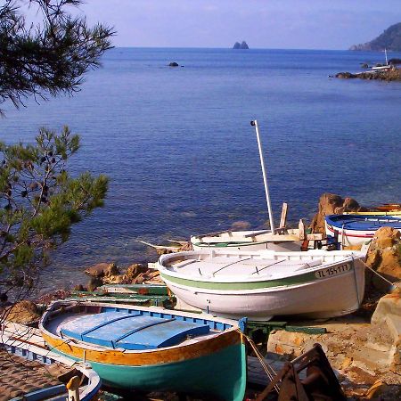 Camping Orly D'Azur Six-Fours-les-Plages Bagian luar foto