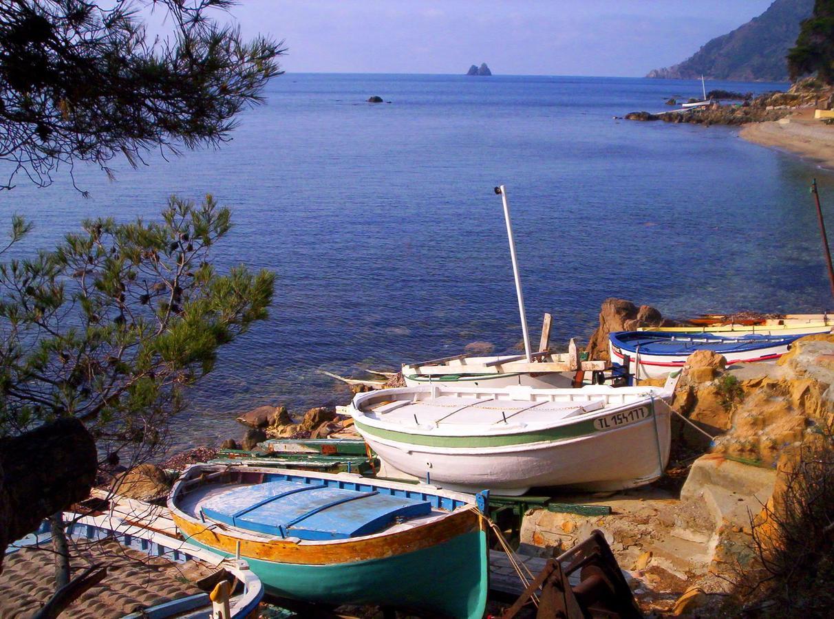 Camping Orly D'Azur Six-Fours-les-Plages Bagian luar foto